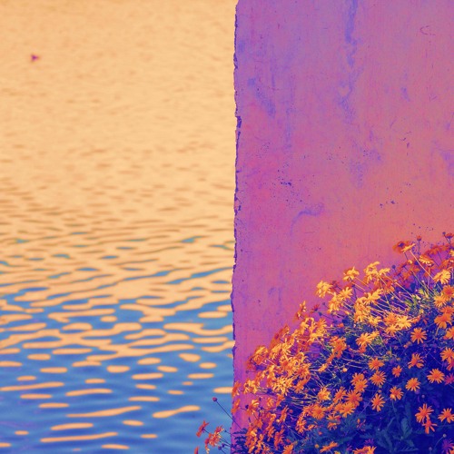 Transitions