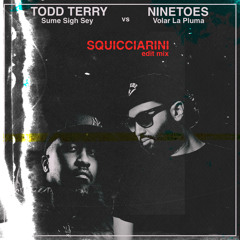 Todd Terry vs Ninetoes - Sume Sigh Sey vs Volar La Pluma (Squicciarini mash mix) ➡ FREE DOWNLOAD