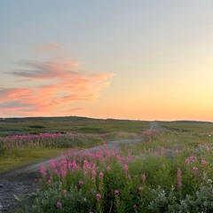 chrisagain - housetrak (feat. YungStroker, gurv, & Yankee Doodle) [DJB44LLEXCLUSIVE]