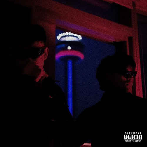 PURPLECA$INO - DIMENSIONS