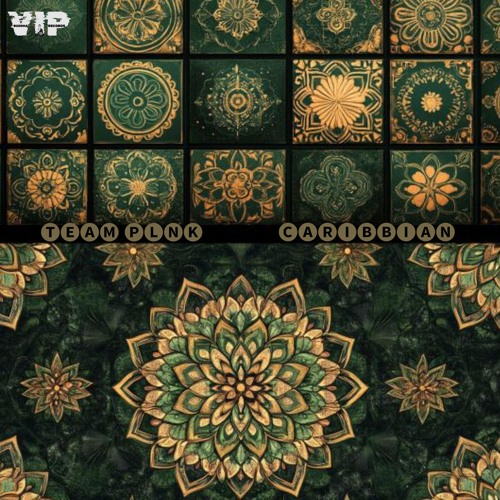 𝐏𝐑𝐄𝐌𝐈𝐄𝐑𝐄: TEAM PLNK - Sunset Breeze on the Beach [Buddha VIP Records]