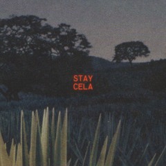 Stay