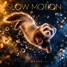 Slow Motion