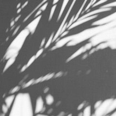 Colada (Original Mix)