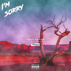 Pablo Hxncho - I'm Sorry(mixed & Mastered By ALLI)