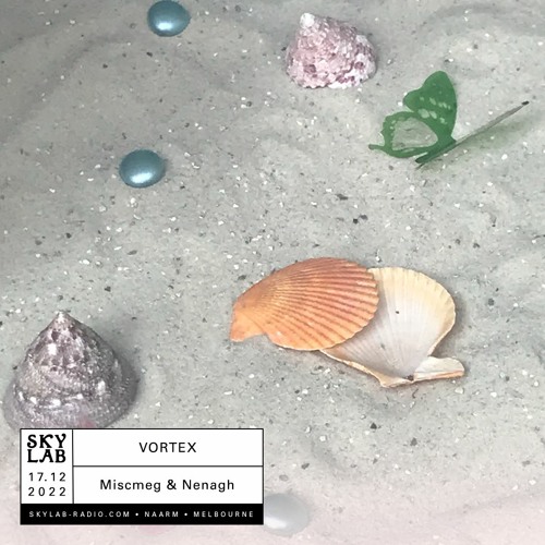 Vortex on Skylab E5