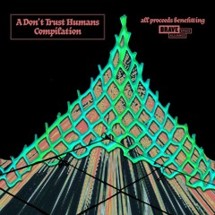 TL PREMIERE : Sound Synthesis - Disturbed Forces [Don't Trust Humans]