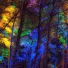 DJ Vibryll - Erez In Nature Night Goa Rave (14.6.24) (Night Retro Goa) DJ mix artwork - Electronic music tracklist cover image