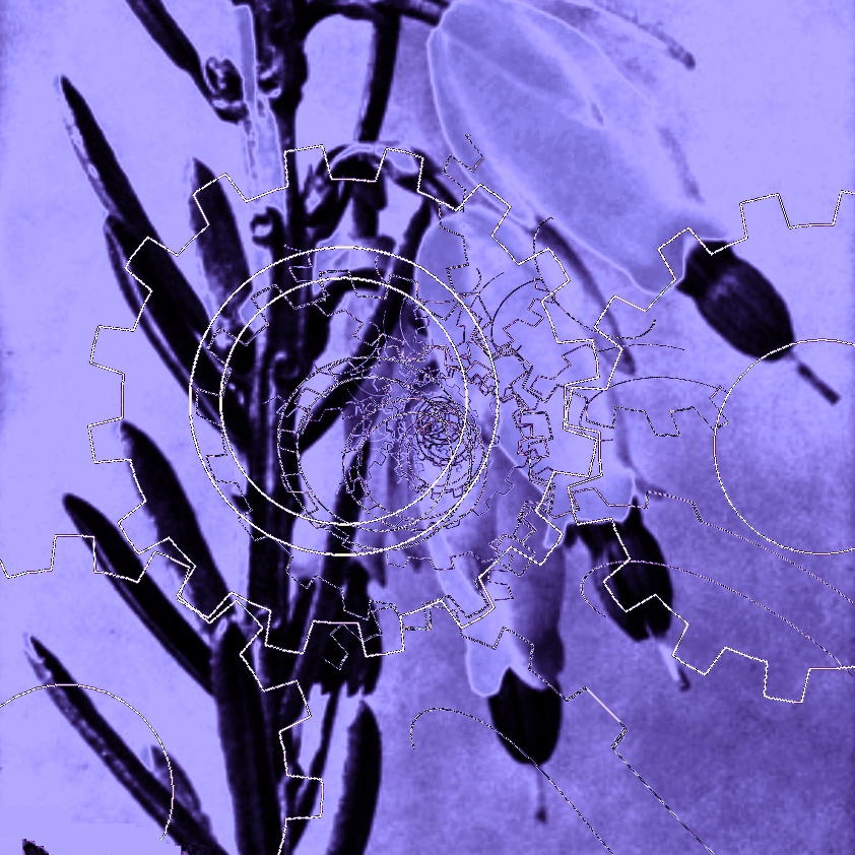 PLATO No. 11164 Galatea episode artwork