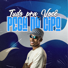 Tudo pra Você Vs Pega no Cipo (feat. mc vuk vuk)