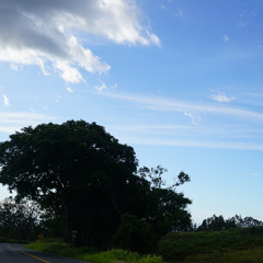 around the world [praise him]