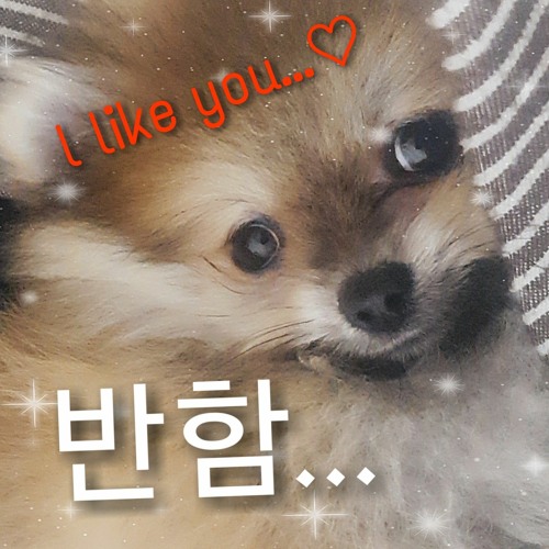 (demo)반함