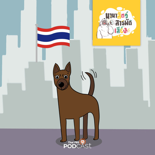 Stream นานาสัตว์สารพัดเสียง 2023 Ep. 72: หมาพันธุ์ไทย หมาพันทาง By Thai Pbs  Podcast | Listen Online For Free On Soundcloud