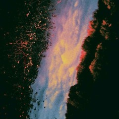 xole sounds ✧'s Picks