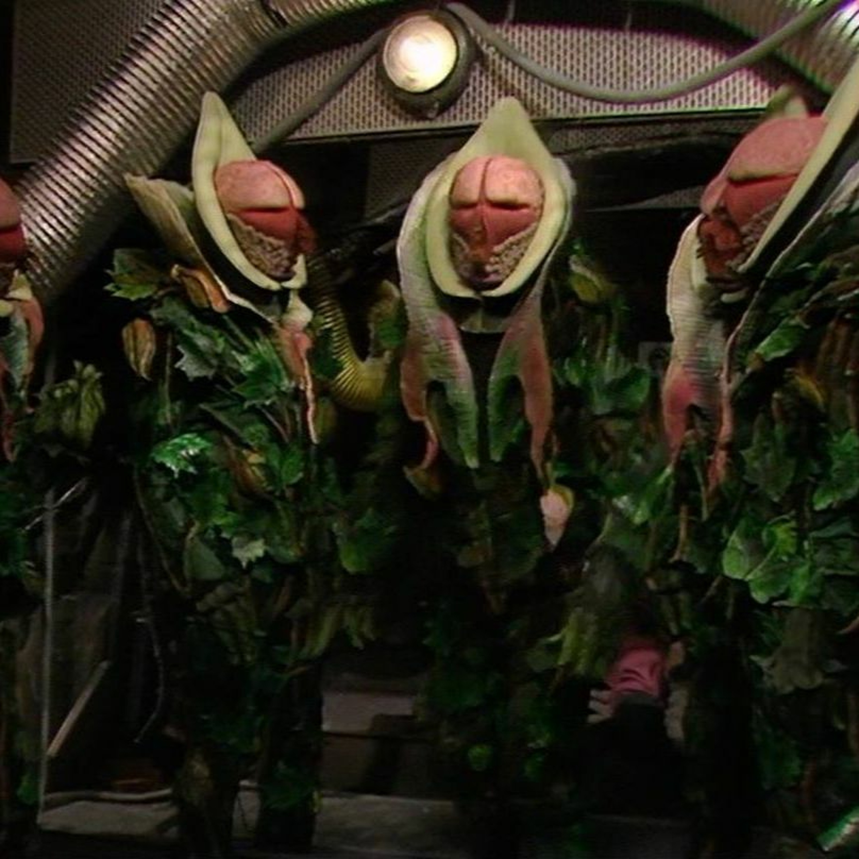 2 Guys A Girl And A Podcast Episode 278 -Doctor Who -Terror Of The Vervoids episode artwork