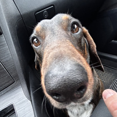 JOSH KALKER - Call Me ( Zack Brown RMX)