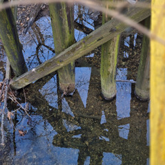 River's Course
