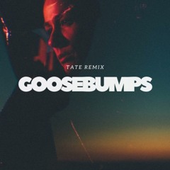 GOOSEBUMPS (Tate Remix)