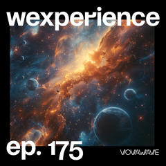 WExperience #175
