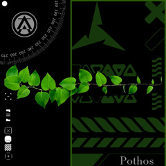 Pothos