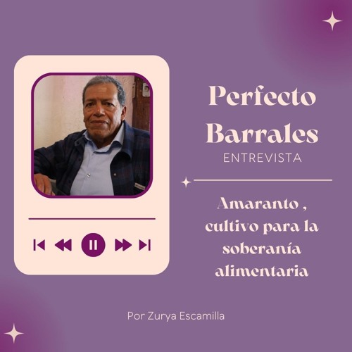 Entrevista con Perfecto Barrales Domínguez, productor de amaranto en Tlaxcala