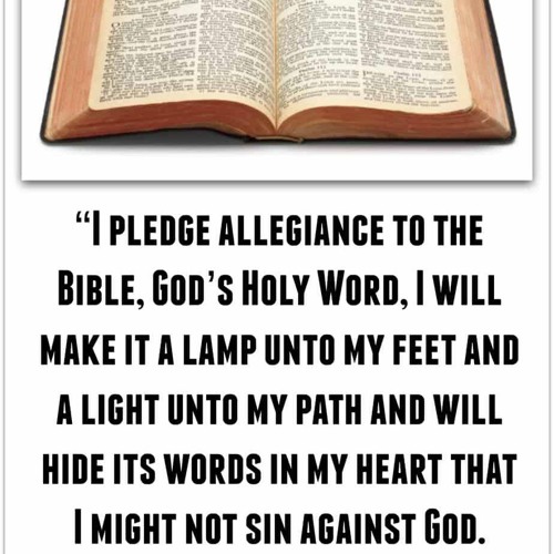 TAKE THE OATH OF ALLIGENCE