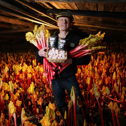 RHUBARB RHUBARB RHUBARB