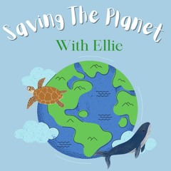 Saving The Planet - Should Marine Restoration Be A Priority? - Episode One