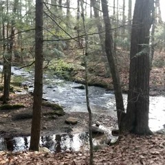 river waltz