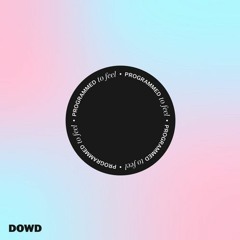 PREMIERE: Dowd - We're Not Really Strangers