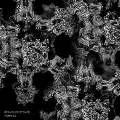 Kernel Existence - "Things (d_func. Remix)" (KONSEQUENT RECORDS)