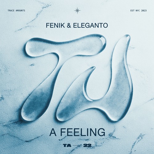 FENIK, Eleganto - A Feeling (Radio Edit)