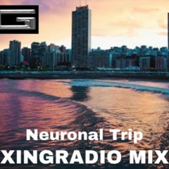 Neuronal Trip Vol. 1