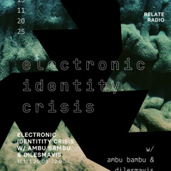 Electronic Identity Crisis