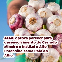 ALMG aprova desenvolvimento do Cerrado Mineiro e institui o Alto Paranaíba como Polo do Alho
