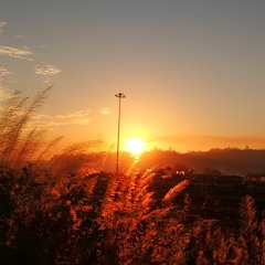 Dawn - Go Out And Play - Extendend Version