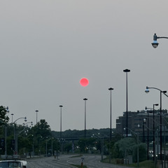 310 [feat. Xoptes] [prod. Gorestain]