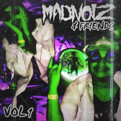 Madnoiz & Friends Vol 1.