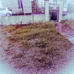 Gris pluie