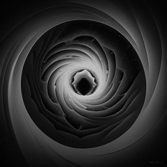 Vortex Vision