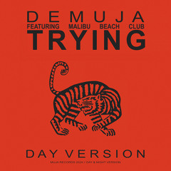 Trying (feat. Malibu Beach Club)
