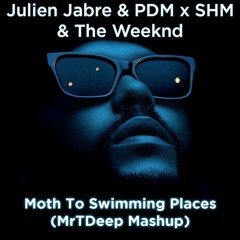Julien Jabre & PDM x SHM & The Weeknd - Moth To Swimming Places (MrTDeep Mashup) [BUY = FREE DL]