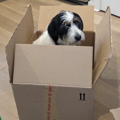 gone forever (a rough office demo)