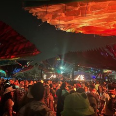 EDM now
