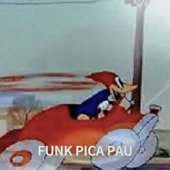 Vitor Hugo Rangel - Funk Rachador Pica-Pau