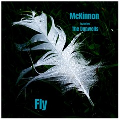 Fly