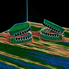 bite that! (prod. pieper beats)