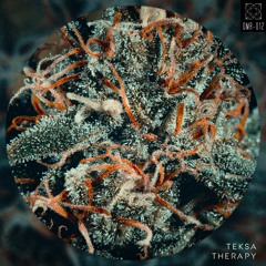 Teksa - Therapy [OMR-012]