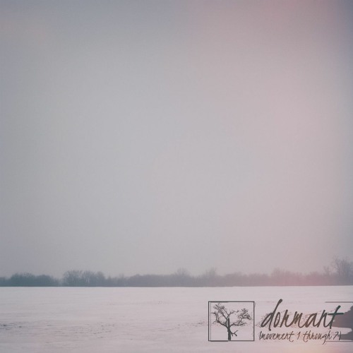The Flashbulb | Snow, Dead of Night