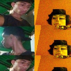 ScHiZo
